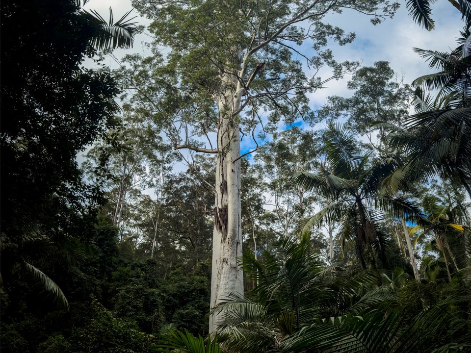 Story image 9
